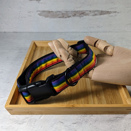 Rainbow dog collar