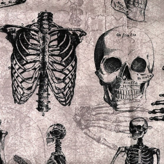 Bare Bones Stanza Pencil Pouch