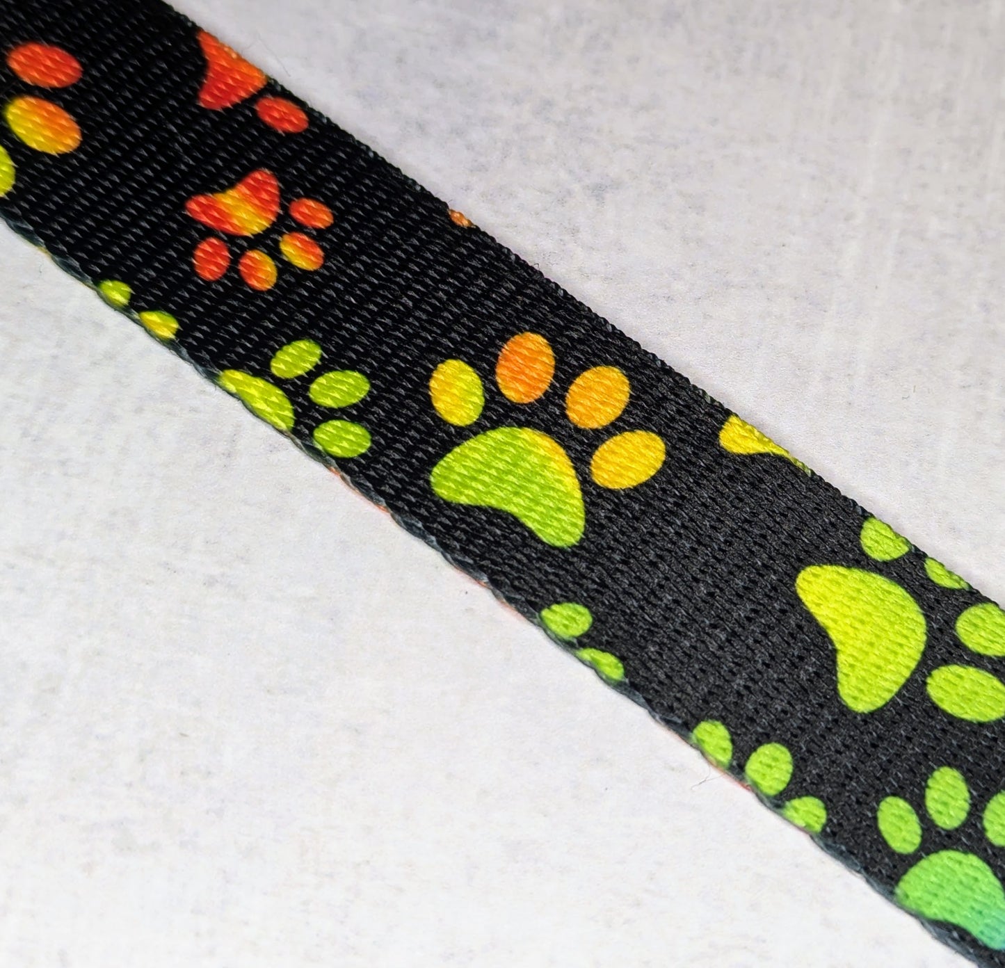 Rainbow tracks dog collar